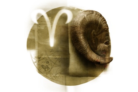 1574240961290639.jpg 十二星座运势