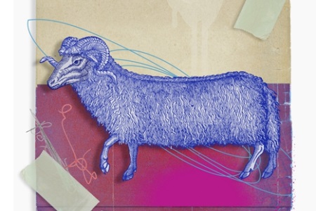 1574326099191444.jpg 十二星座运势