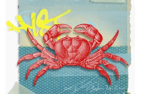 1574326105191953.jpg 星座查询