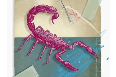 1574326113822769.jpg 白羊座