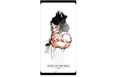 1566553056598775.png 白羊座性格暴躁