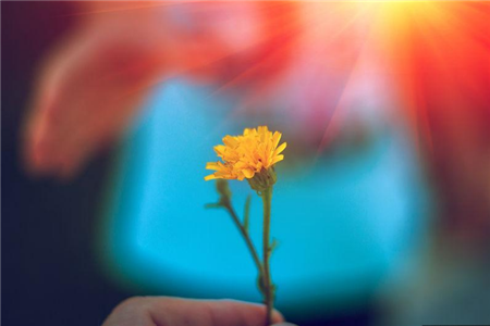 1566732979816572.png 爱情经常受挫的水瓶座