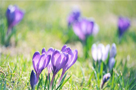 1566733179479271.jpg 九月来临,星座 运势