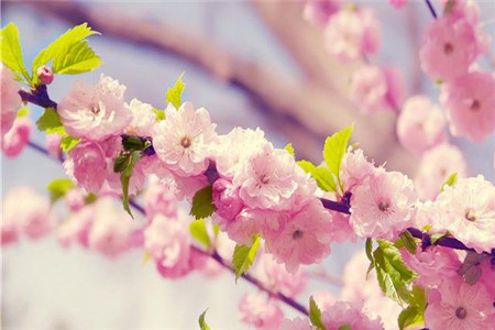 1566733190419575.jpg 双子座运势亨通