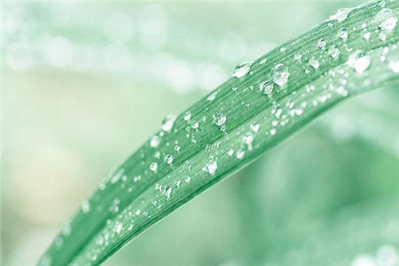 1566972211252189.jpg 水瓶座的爱情敏感点