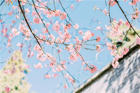 1566972224245655.jpg 想要彼此爱情甜蜜就不得不注意