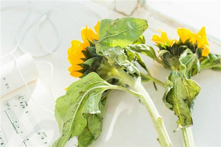 1566972235212739.jpg 和水瓶座谈恋爱要注意哪些?