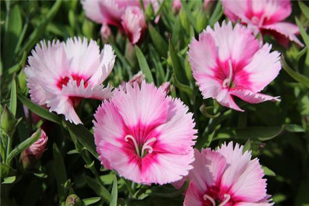 1569746317603857.jpg 天蝎座