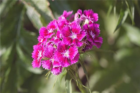 1569746327362889.jpg 巨蟹座