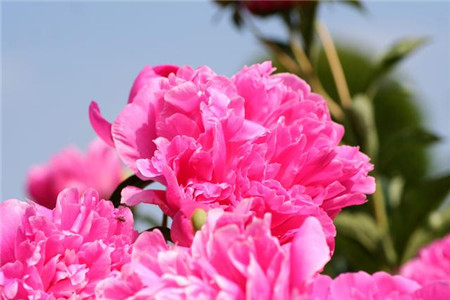 1569746337808383.jpg 处女座