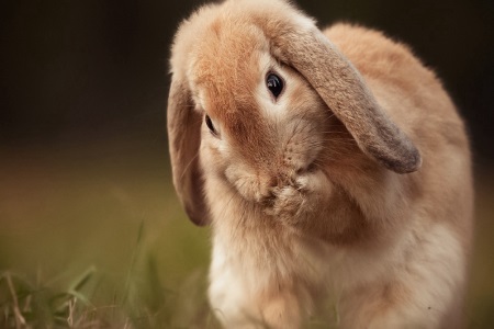 1571044729808658.jpg 天蝎座和什么星座最配