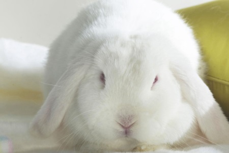 1571044739800479.jpg 星座运势