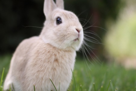 1571044746375757.jpg 星座查询