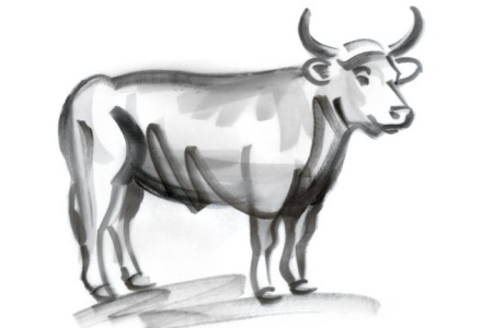 1571215836876288.jpg 十二星座运势