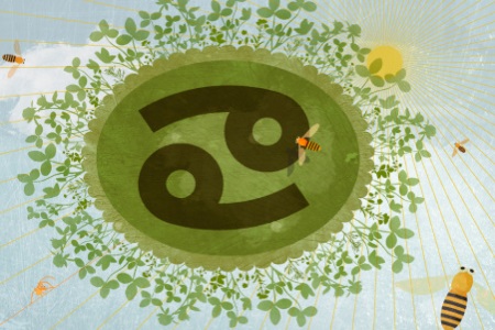 1571302081319879.jpg 星座