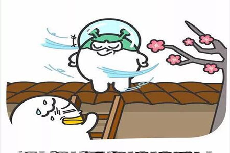 1542252269528304.jpg 20181115105554.jpg