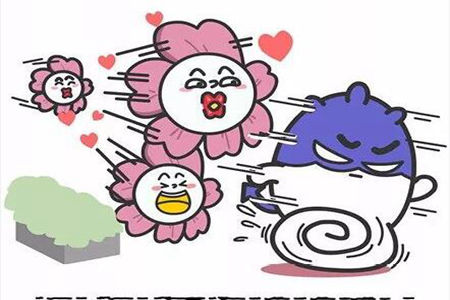 1544412276581707.jpg 20181210105521.jpg