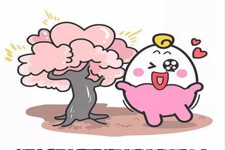 1544762226858920.jpg 20181214112843.jpg