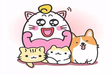 1540524364460536.jpg 20181026110028.jpg