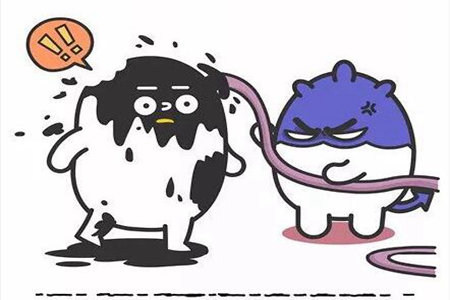 1542079351138359.jpg 20181113105527.jpg