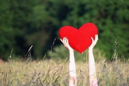 1536028767276568.jpg taohuayun2.jpg