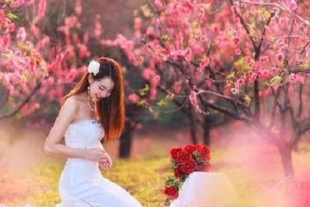 1536028779578742.jpg taohuayun5.jpg