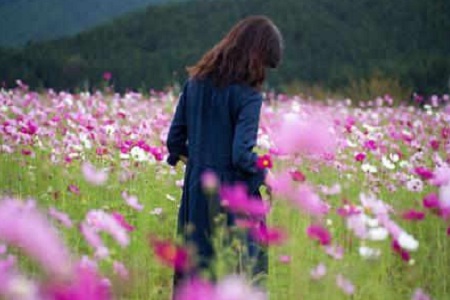 1536028867808740.jpg taohuayun6.jpg