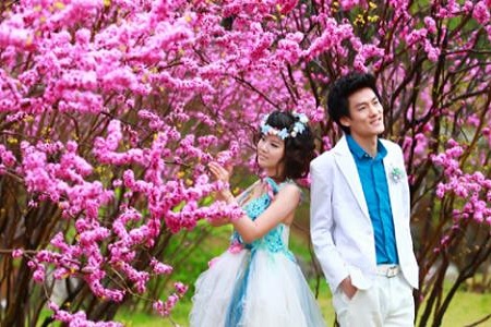 1536028888640432.jpg taohuayun4.jpg