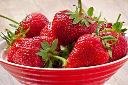 养肝护肝的食物