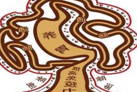 肠胃不好怎么调理