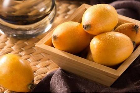 枇杷的功效与作用