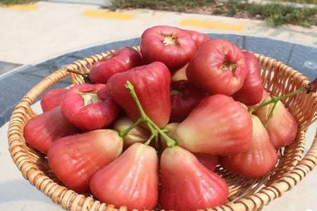 吃什么滋润皮肤