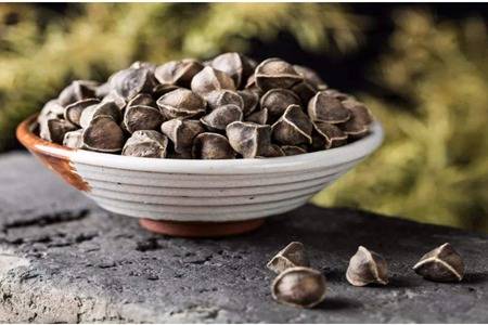  辣木籽的功效与作用