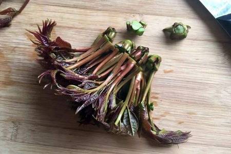 香椿的功效与作用