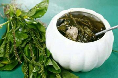 车前草的功效与作用