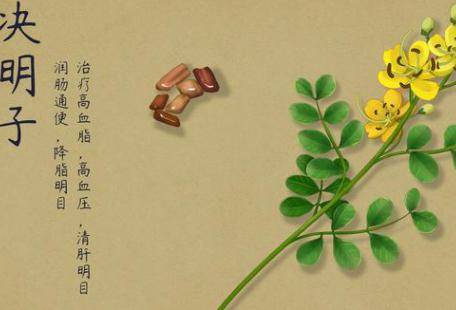 决明子的功效与作用