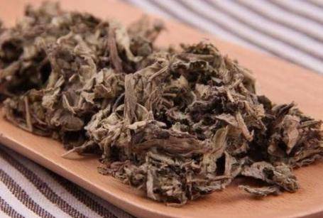 艾叶的功效与作用