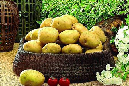 土豆发芽了还能吃吗