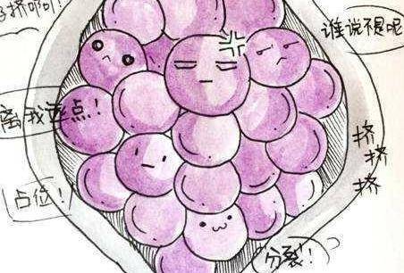 葡萄胎是什么