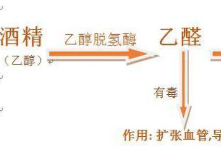 喝酒脸红是怎么回事