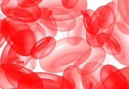 胆红素高是怎么回事