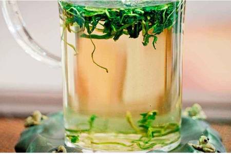 蒲公英茶可以天天喝吗