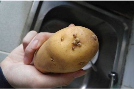 土豆吃法
