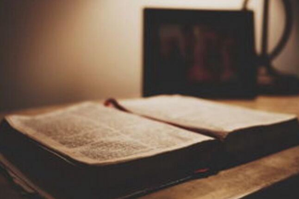 1538036034152661.jpg b.jpg