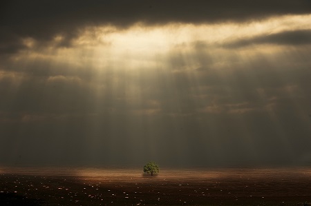 1538042066932083.jpg 我愿意一直陪伴,请你不要嫌我烦.jpg