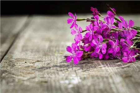 1538880076910817.jpg 20181007102244.jpg