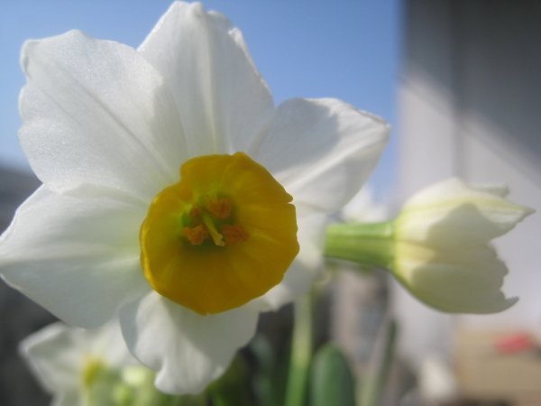 1537154413957547.jpg 经常和同事聊天,感觉他好像走进了我的世界,可我已结婚了....jpg