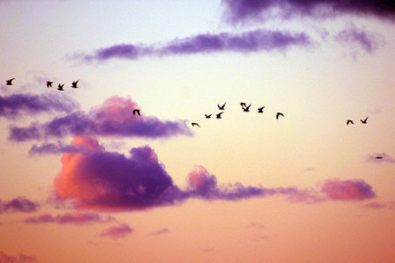 1537167864697308.jpg “婚姻攻略”——做好这几点,不幸福都难〖后篇〗.jpg