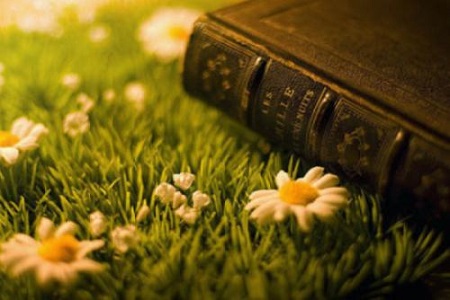 1537427504538184.jpg vd.jpg