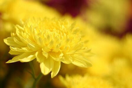 1537501416407579.jpg 20180921113308.jpg